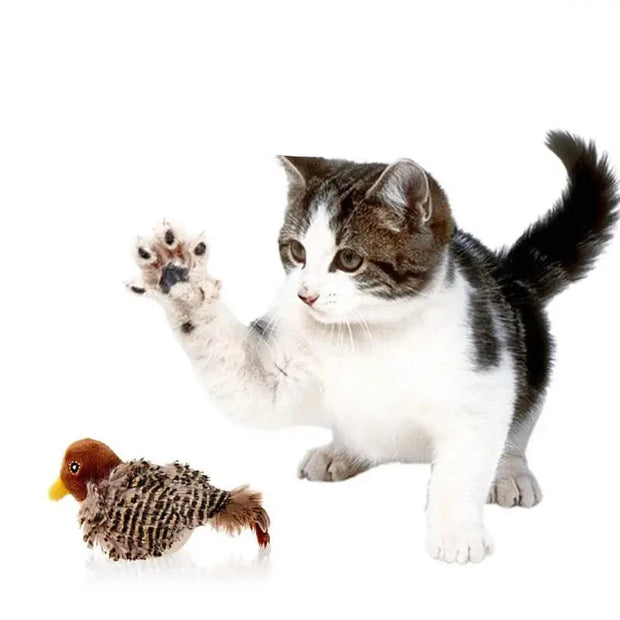 Interactive bird chirping cat toy